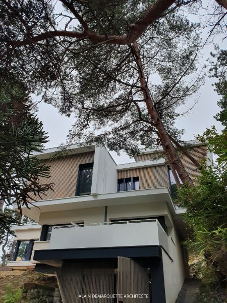 maison moderne au milieu des arbres